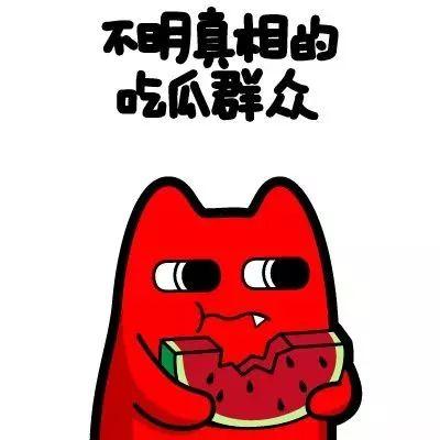 带你吃瓜拍照今日说法,带你揭秘“吃瓜拍照”背后的法律故事