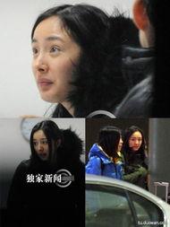 明星网红恐怖密室视频播放,明星网红带你揭秘恐怖游戏幕后真相