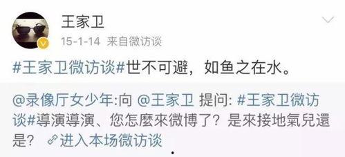 明星网红微博语录文案,洞察时代潮流的智慧火花