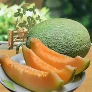 今日滑县哈密瓜,甘甜飘香，丰收季里的甜蜜使者