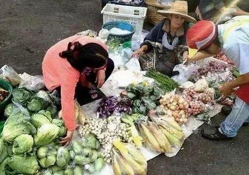 卖菜明星网红有哪些呢,盘点当下热门的卖菜网红