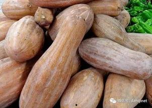 吃方瓜会出现黑便吗,方瓜摄入与黑便现象的关联探讨
