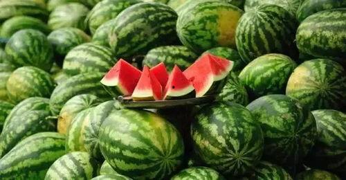 长春今日吃瓜事件最新消息,揭秘背后真相与网络热议