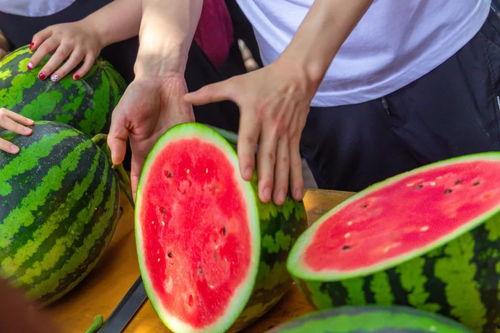 今日吃瓜 在线播放,在线播放带你领略娱乐圈新鲜事