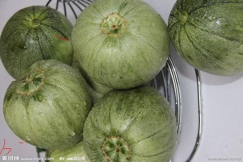 盐城瓜价今日,新鲜瓜果价格走俏，市民抢购热潮涌动