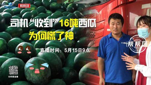 今日吃瓜观战,热点事件盘点与幕后揭秘