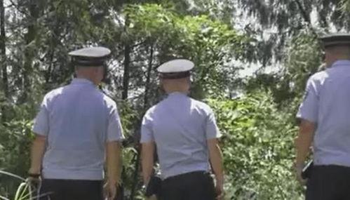 吃瓜黑团伙完整版,一场网络舆论的狂欢与反思