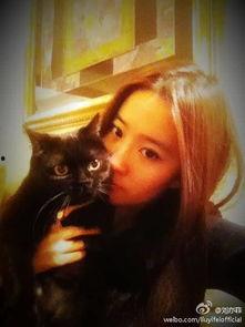 老猫明星网红视频合集,短视频中的璀璨星光