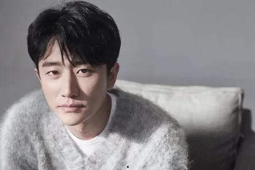 明星网红的剧叫什么,揭秘明星网红的璀璨剧作