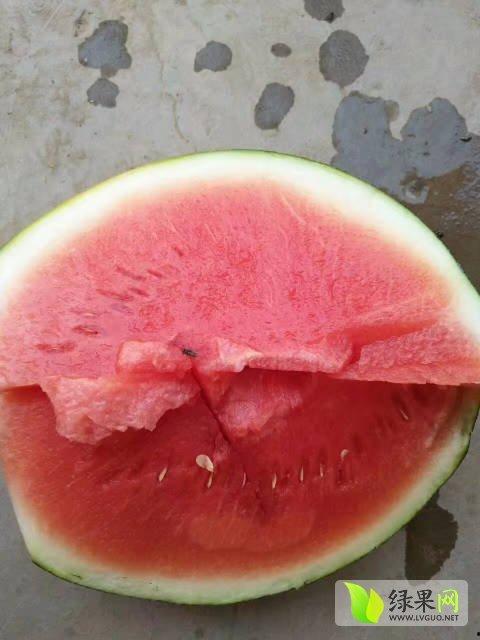 中牟吊瓜今日价格多少钱,价格一览