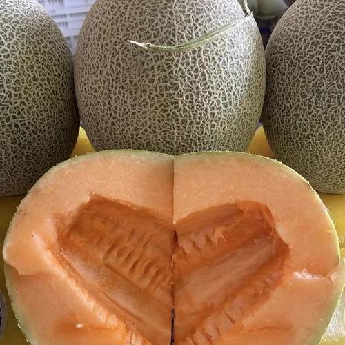 哈密瓜广东今日价,新鲜上市，价格实惠，尽享夏日清凉！”