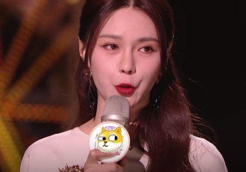 明星网红比较火的歌曲,明星网红热门歌曲盘点