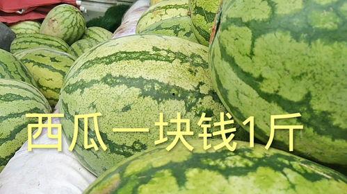 今日瓜价一斤多少钱,一斤多少钱？揭秘时令瓜果市场行情