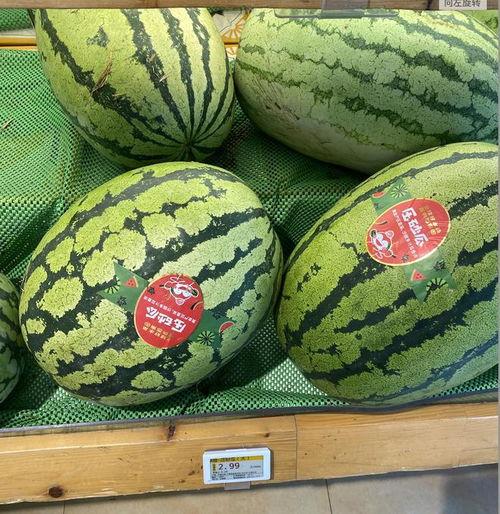 今日瓜价一斤多少钱,一斤多少钱？揭秘时令瓜果市场行情