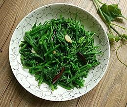 洋瓜尖价格今日,今日洋瓜尖价格波动解析