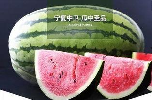 兴仁西沙瓜今日报价,价格行情一览”