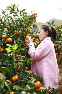 今日临海大瓜,揭秘今日临海热点事件背后的真相