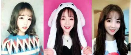 风靡明星网红圈在线观看,在线观看潮流揭秘