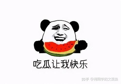 今日分享吃瓜文案搞笑,今日吃瓜文案大集合，笑料横飞，欢乐无边！