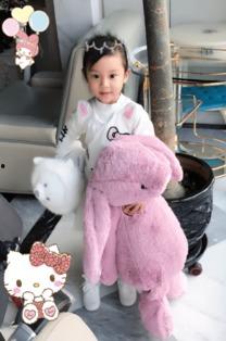 明星网红的玩具是什么,揭秘他们心中的童年宝藏