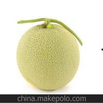 今日精品瓜什么价位