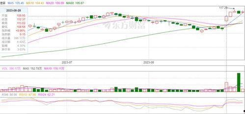 飞瓜数据今日股价多少