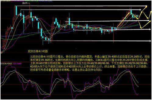 今日小吊瓜行情走势图分析,波动中探寻市场新机遇