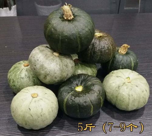 云南元谋今日小瓜价格,市民抢购热潮涌动