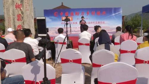 明星网红直播助农论文,明星网红助力乡村振兴的实践与启示