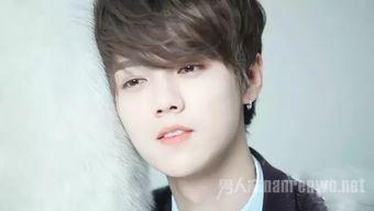 明星网红有几个男的,揭秘明星网红中的男性力量