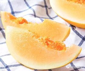 黄金蜜瓜价格今日查询表