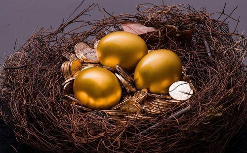 今日乳瓜行情,涨跌互现，市场供需动态解析