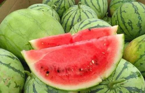 大福瓜今日价格