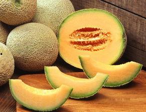 哈密瓜价格今日价海南,新鲜直供，品质保证