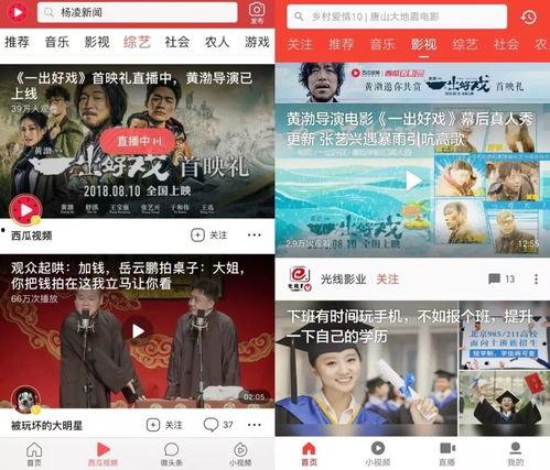 惠州今日吃瓜新闻视频回放