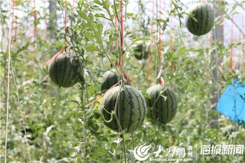 五一今日吃瓜在线观看