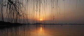 青山湖水上森林明星网红