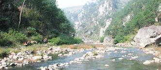 青山湖水上森林明星网红