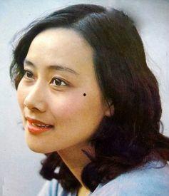 襄阳有哪些明星网红演员,襄阳明星网红演员风采掠影