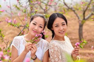 人面桃花电视剧,爱恨交织的乱世情缘