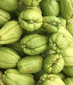 佛手瓜尖今日价格,市场动态一览”