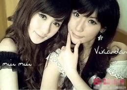 重庆有哪些明星网红的,璀璨星光下的城市风采