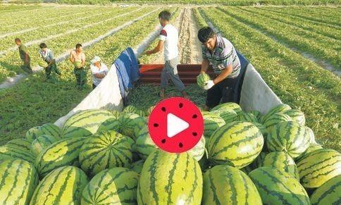 今日大瓜,揭秘娱乐圈最新热点事件