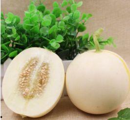 临沂今日小瓜价格,市民抢购热潮涌动”