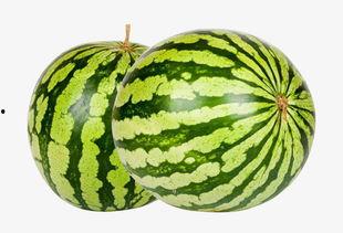 热门大瓜今日大瓜2024,今日大瓜盘点，揭秘娱乐圈风云变幻