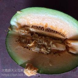 东方市哈密瓜今日价格,价格行情一览”