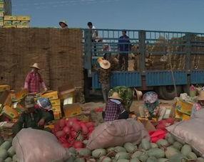 东方市哈密瓜今日价格,价格行情一览”