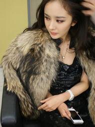 明星网红套裙视频大全集,明星网红套裙穿搭视频大全集解析