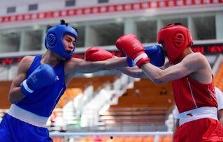 吃瓜娱乐拳击比赛视频,吃瓜群众视角下的精彩对决